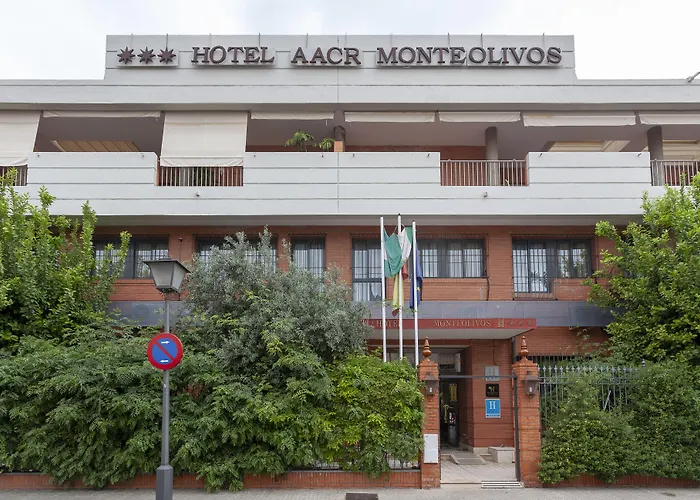 Aacr Hotel Monteolivos Séville