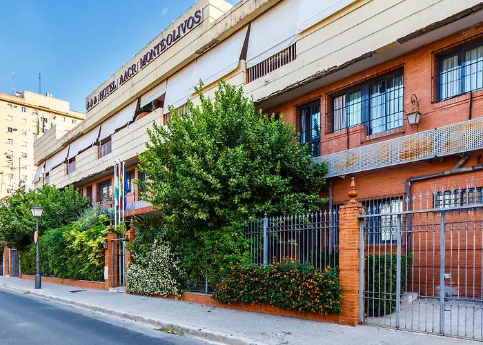 Aacr Hotel Monteolivos Séville